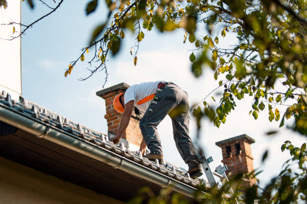 Reliable La Follette, TN Roofing Contractor Solutions