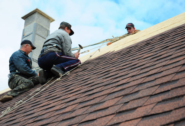 Best Tile Roofing Contractor  in La Follette, TN