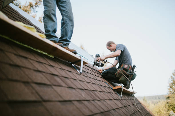 Best Gutter Installation and Roofing  in La Follette, TN